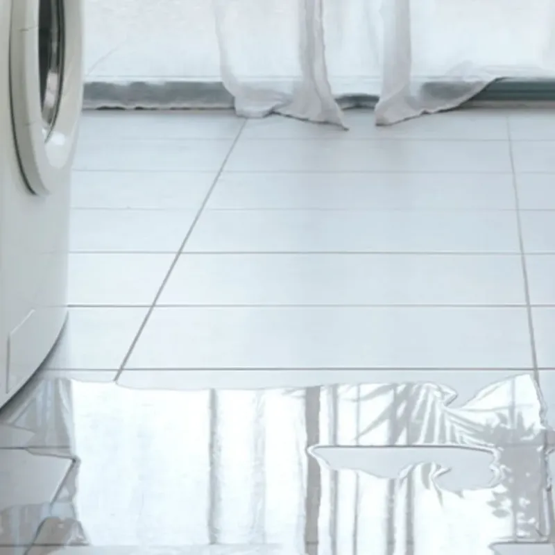 Appliance Leak Cleanup in Round Rock, TX