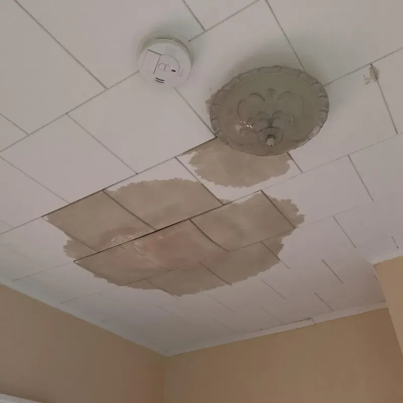 Ceiling Water Damage Repair in Round Rock, TX