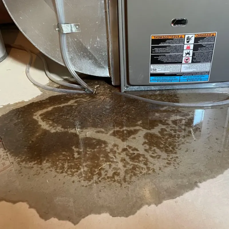 Pipe Burst and Leak Restoration in Round Rock, TX