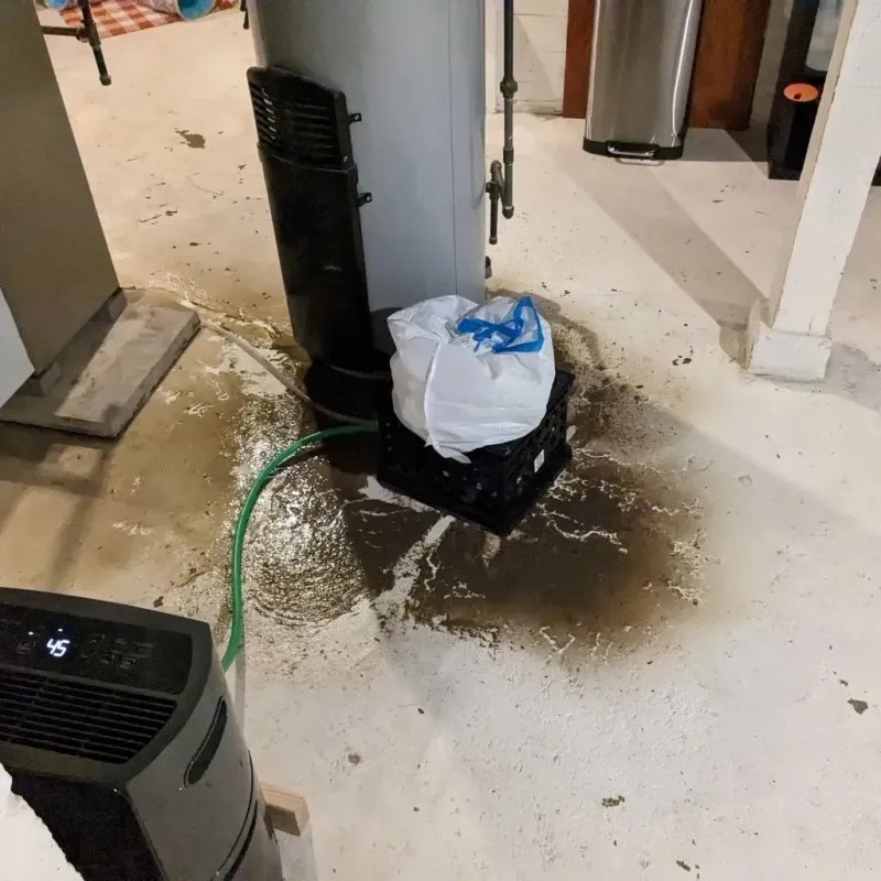Sewage Backup Cleanup Service in Round Rock, TX